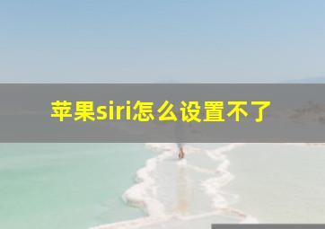 苹果siri怎么设置不了