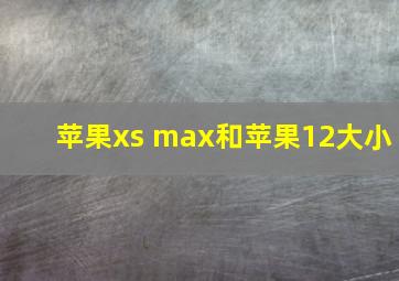 苹果xs max和苹果12大小