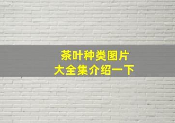 茶叶种类图片大全集介绍一下