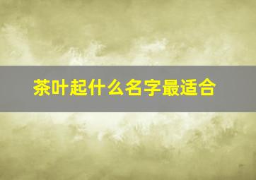 茶叶起什么名字最适合