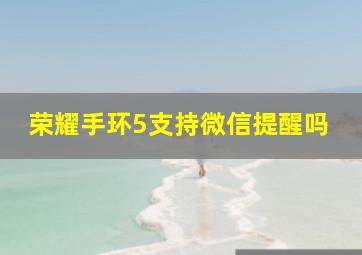 荣耀手环5支持微信提醒吗