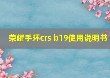 荣耀手环crs b19使用说明书