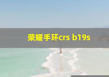 荣耀手环crs b19s