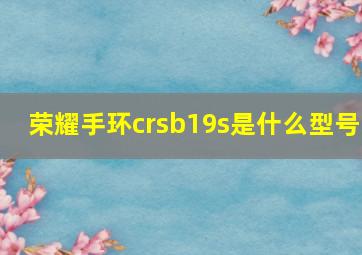 荣耀手环crsb19s是什么型号