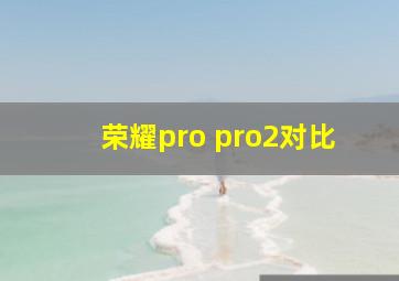 荣耀pro pro2对比