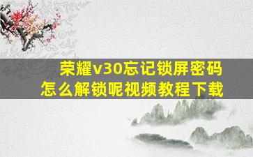 荣耀v30忘记锁屏密码怎么解锁呢视频教程下载