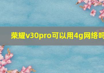 荣耀v30pro可以用4g网络吗