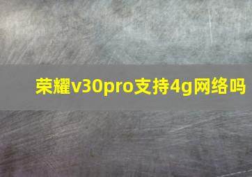 荣耀v30pro支持4g网络吗