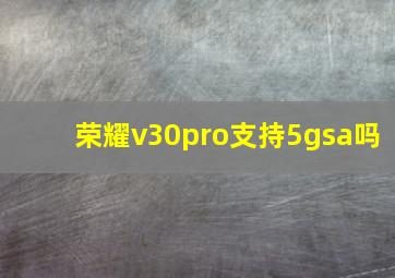 荣耀v30pro支持5gsa吗