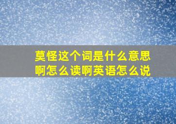 莫怪这个词是什么意思啊怎么读啊英语怎么说