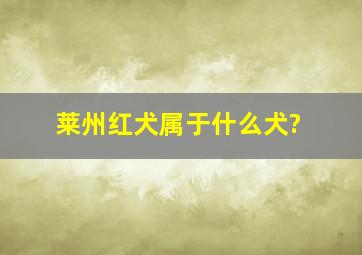 莱州红犬属于什么犬?