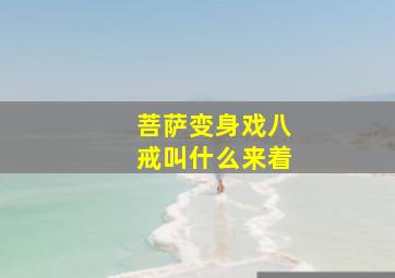 菩萨变身戏八戒叫什么来着