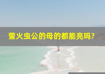 萤火虫公的母的都能亮吗?