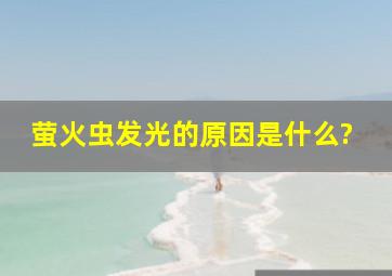 萤火虫发光的原因是什么?