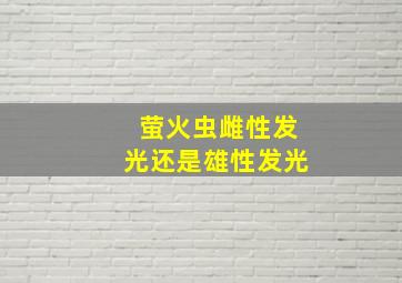 萤火虫雌性发光还是雄性发光