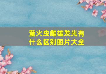 萤火虫雌雄发光有什么区别图片大全