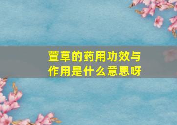 萱草的药用功效与作用是什么意思呀