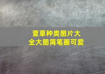 萱草种类图片大全大图简笔画可爱