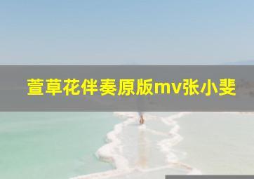 萱草花伴奏原版mv张小斐