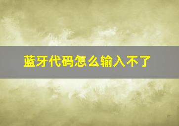 蓝牙代码怎么输入不了