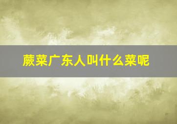 蕨菜广东人叫什么菜呢