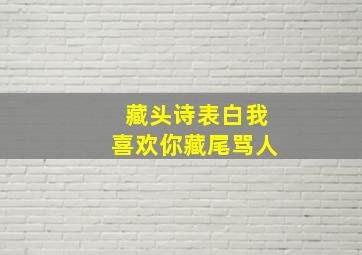 藏头诗表白我喜欢你藏尾骂人