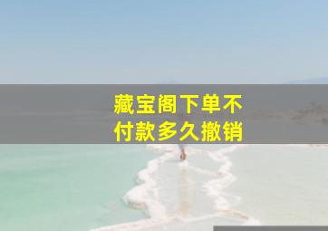 藏宝阁下单不付款多久撤销