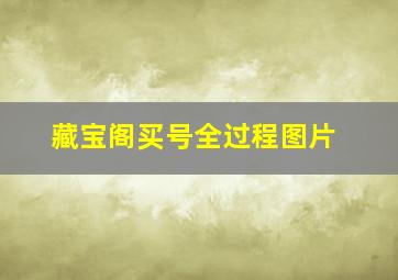 藏宝阁买号全过程图片