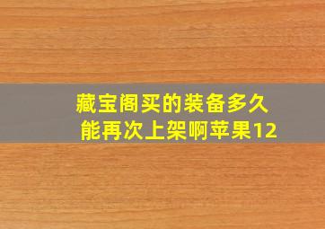 藏宝阁买的装备多久能再次上架啊苹果12