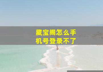 藏宝阁怎么手机号登录不了