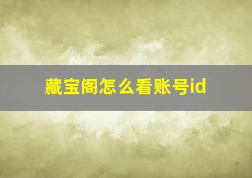 藏宝阁怎么看账号id