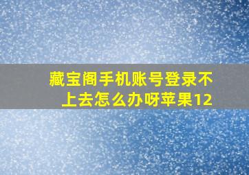 藏宝阁手机账号登录不上去怎么办呀苹果12