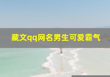 藏文qq网名男生可爱霸气