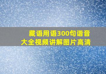 藏语用语300句谐音大全视频讲解图片高清