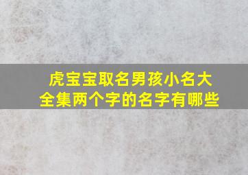 虎宝宝取名男孩小名大全集两个字的名字有哪些