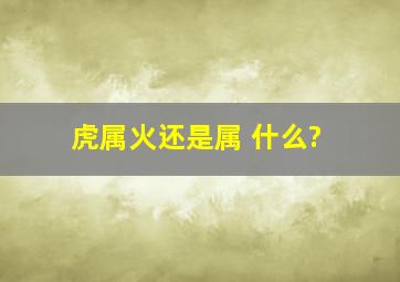 虎属火还是属 什么?