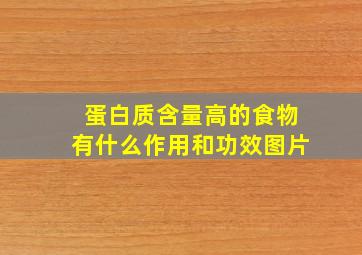 蛋白质含量高的食物有什么作用和功效图片