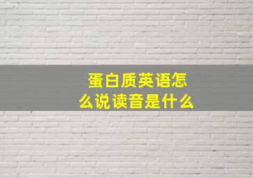 蛋白质英语怎么说读音是什么