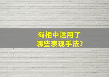 蜀相中运用了哪些表现手法?