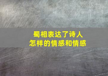 蜀相表达了诗人怎样的情感和情感