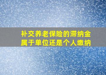 补交养老保险的滞纳金属于单位还是个人缴纳