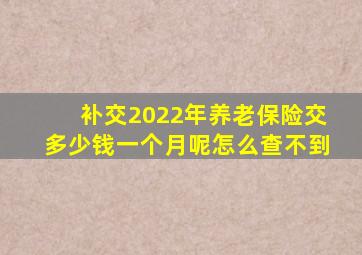 补交2022年养老保险交多少钱一个月呢怎么查不到