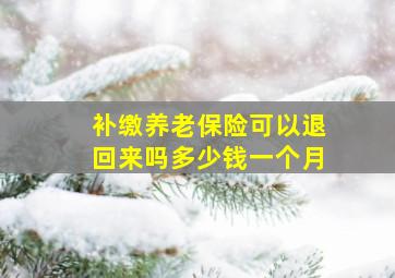 补缴养老保险可以退回来吗多少钱一个月