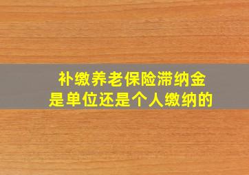 补缴养老保险滞纳金是单位还是个人缴纳的