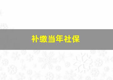 补缴当年社保