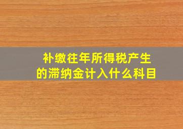 补缴往年所得税产生的滞纳金计入什么科目