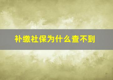 补缴社保为什么查不到