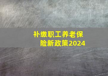 补缴职工养老保险新政策2024