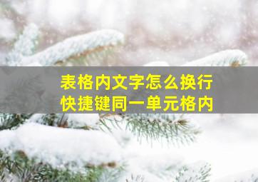 表格内文字怎么换行快捷键同一单元格内