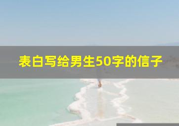 表白写给男生50字的信子